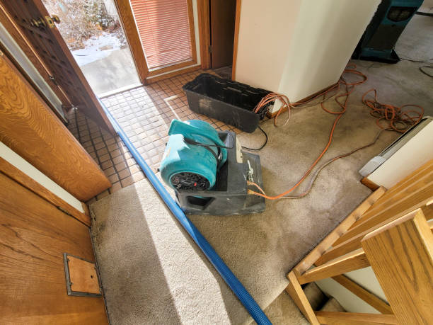 Best Flood damage cleanup  in Bremen, OH