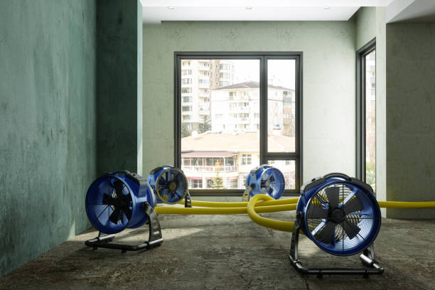 Best Mold removal after water damage  in Bremen, OH